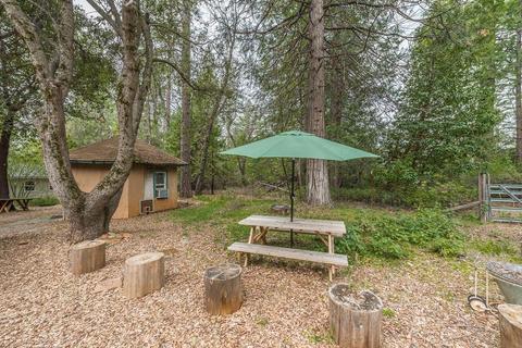 18835 Wildcat Way, Volcano, CA 95689 photo 43