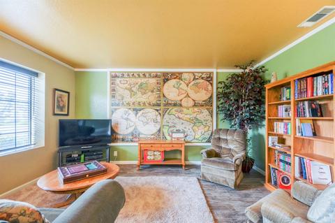 913 E Milgeo Ave, Ripon, CA 95366 photo 10
