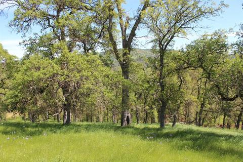 1588 Choctaw Rd, Copperopolis, CA 95228 photo 9