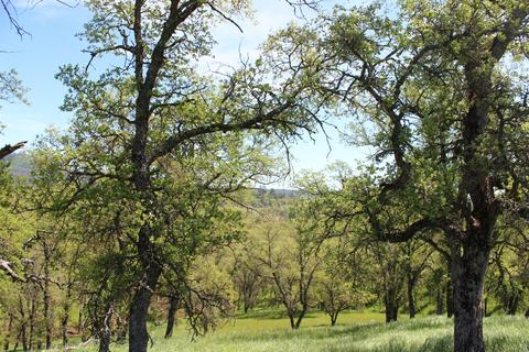 1588 Choctaw Rd, Copperopolis, CA 95228 photo 13
