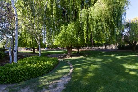 26002 E River Rd, Escalon, CA 95320 photo 12