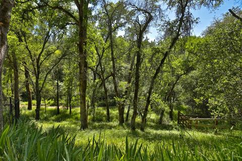 3048 Stagecoach Rd, Placerville, CA 95667 photo 32