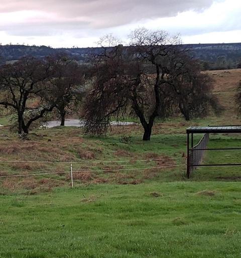 15770 Egan Rd, Jamestown, CA 95327 photo 3