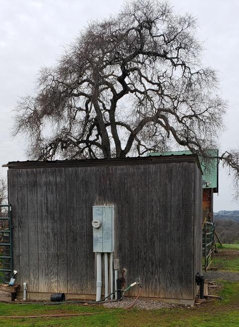 15770 Egan Rd, Jamestown, CA 95327 photo 5