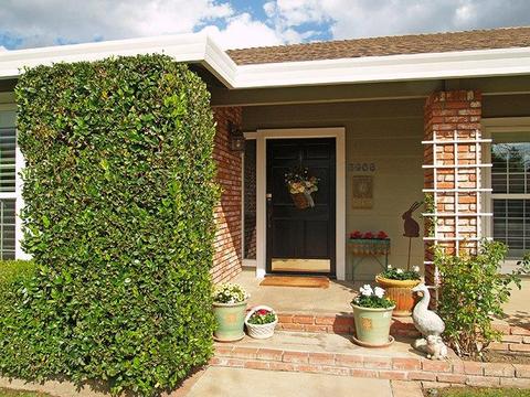 3908 Marigold Ln, Modesto, CA 95356 photo 3