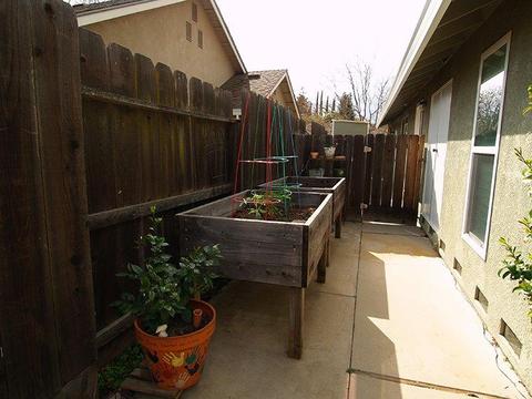 3908 Marigold Ln, Modesto, CA 95356 photo 29
