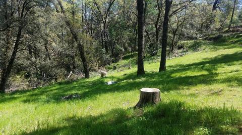 1289 State Highway 49, Placerville, CA 95667 photo 10