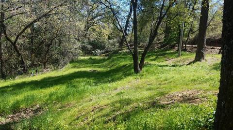 1289 State Highway 49, Placerville, CA 95667 photo 11