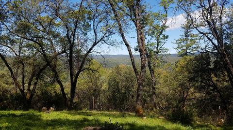1289 State Highway 49, Placerville, CA 95667 photo 9