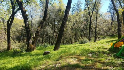 1289 State Highway 49, Placerville, CA 95667 photo 17