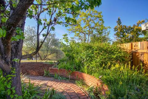 107 Luz Pl, Davis, CA 95616 photo 35