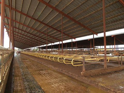 807 Ruble Rd, Crows Landing, CA 95313 photo 11