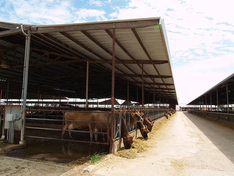 807 Ruble Rd, Crows Landing, CA 95313 photo 22