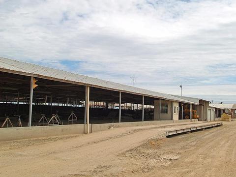 807 Ruble Rd, Crows Landing, CA 95313 photo 15