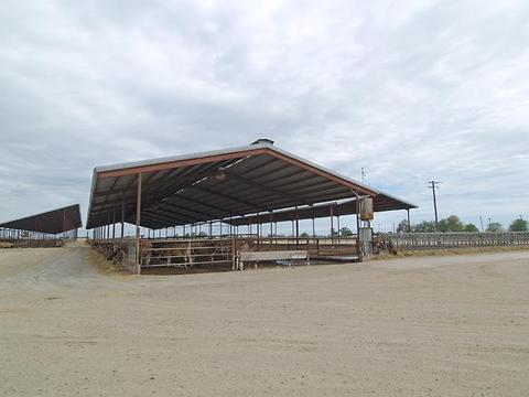 807 Ruble Rd, Crows Landing, CA 95313 photo 34