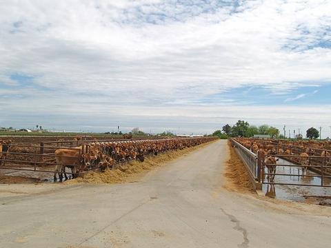 807 Ruble Rd, Crows Landing, CA 95313 photo 39