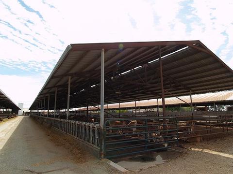 807 Ruble Rd, Crows Landing, CA 95313 photo 21
