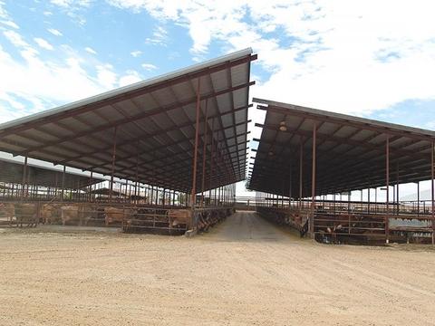 807 Ruble Rd, Crows Landing, CA 95313 photo 27