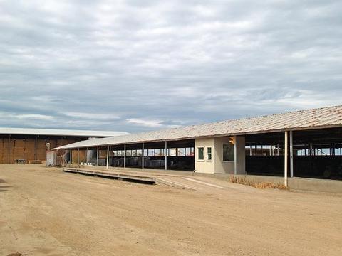 807 Ruble Rd, Crows Landing, CA 95313 photo 14