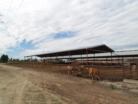 807 Ruble Rd, Crows Landing, CA 95313 photo 31