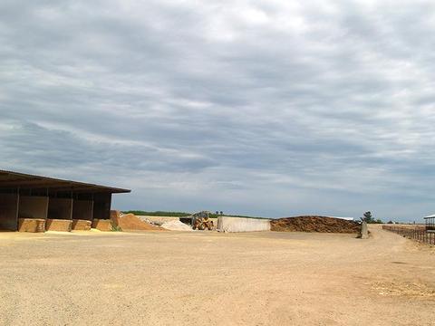 807 Ruble Rd, Crows Landing, CA 95313 photo 43