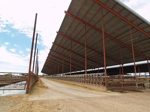 807 Ruble Rd, Crows Landing, CA 95313 photo 30