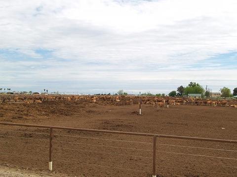 807 Ruble Rd, Crows Landing, CA 95313 photo 38