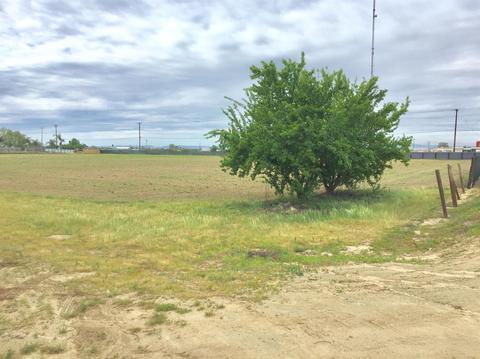 8100 E Service Rd, Hughson, CA 95326 photo 4