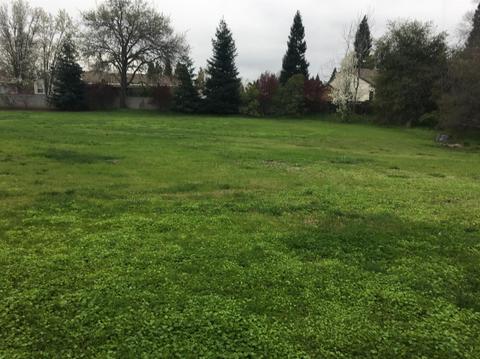 9068 Central Ave, Orangevale, CA 95662 photo 8