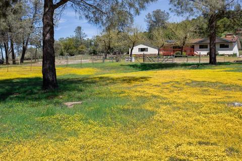 2101 Mulberry Ln, Placerville, CA 95667 photo 2