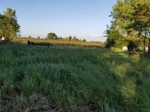 21620 N Clements Rd, Clements, CA 95227 photo 30