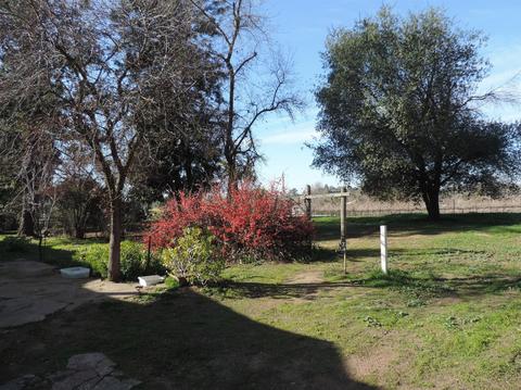21620 N Clements Rd, Clements, CA 95227 photo 46