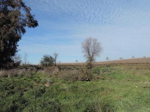 21620 N Clements Rd, Clements, CA 95227 photo 38