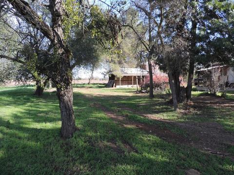 21620 N Clements Rd, Clements, CA 95227 photo 45