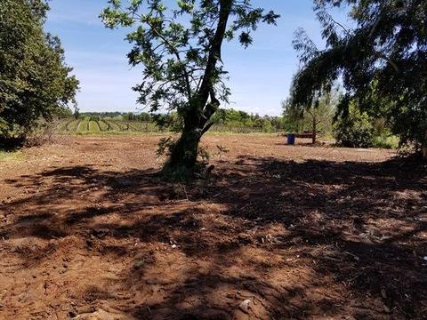 21620 N Clements Rd, Clements, CA 95227 photo 32