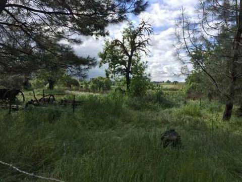 21620 N Clements Rd, Clements, CA 95227 photo 31