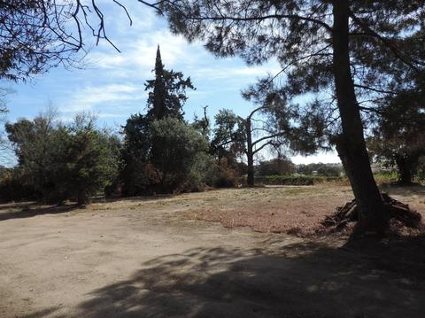 21620 N Clements Rd, Clements, CA 95227 photo 36