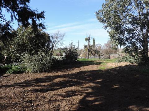 21620 N Clements Rd, Clements, CA 95227 photo 43
