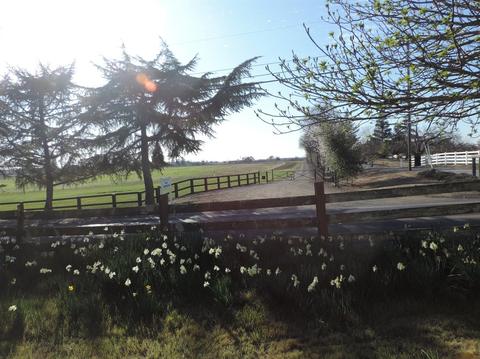 21620 N Clements Rd, Clements, CA 95227 photo 49