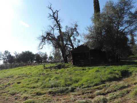 21620 N Clements Rd, Clements, CA 95227 photo 39