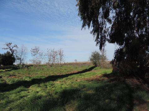 21620 N Clements Rd, Clements, CA 95227 photo 40