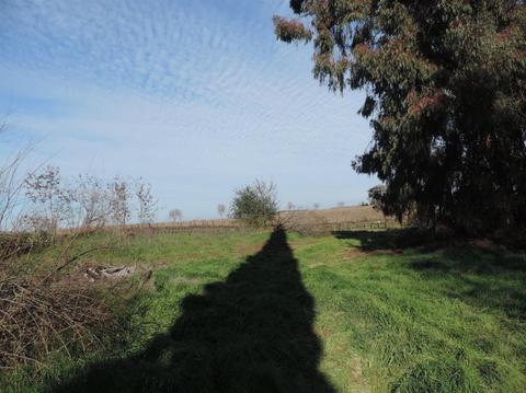 21620 N Clements Rd, Clements, CA 95227 photo 41