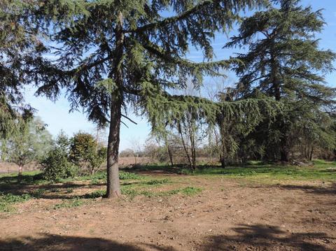 21620 N Clements Rd, Clements, CA 95227 photo 44