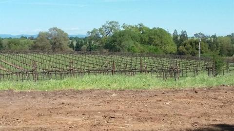 21620 N Clements Rd, Clements, CA 95227 photo 34