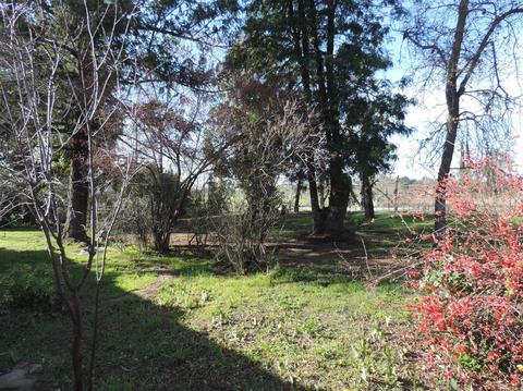 21620 N Clements Rd, Clements, CA 95227 photo 47