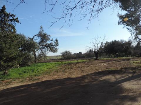21620 N Clements Rd, Clements, CA 95227 photo 48