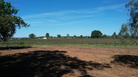 21620 N Clements Rd, Clements, CA 95227 photo 33