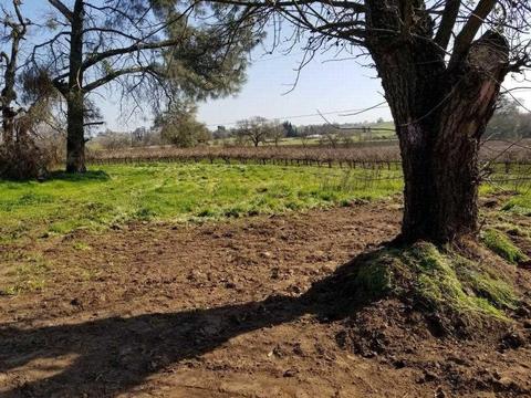 21620 N Clements Rd, Clements, CA 95227 photo 53