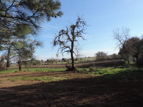 21620 N Clements Rd, Clements, CA 95227 photo 51