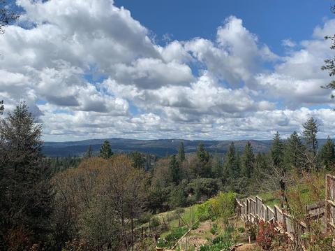 162 Alpine Cir, Colfax, CA 95713 photo 40